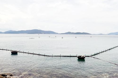 'Tuýt còi' doanh nghiệp làm phao nổi chiếm dụng mặt biển ở Nha Trang
