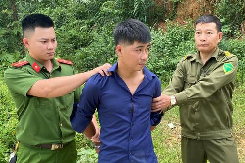 Cướp taxi Mai Linh nhưng không biết lái, thanh niên bị công an bắt giữ