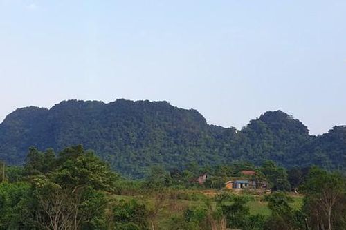 Điều tra nguyên nhân trẻ mầm non tử vong sau giấc ngủ trưa tại trường