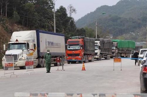 Bộ Giao thông vận tải cùng chống ùn tắc xe container, ngăn hành vi 'làm luật' tại cửa khẩu