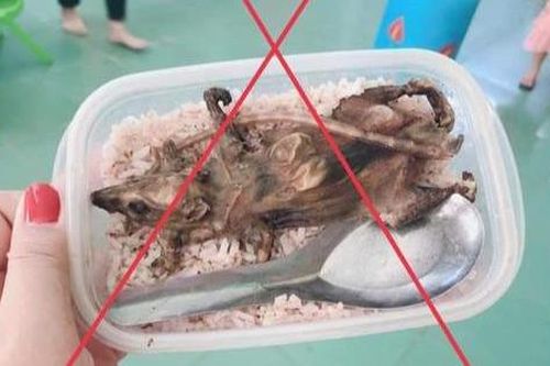 Phạt 7,5 triệu đồng đăng tin sai sự thật 'học sinh ăn cơm với thịt chuột'