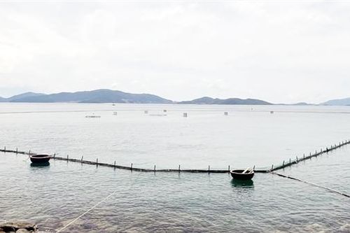 Lắp đặt giàn phao nổi trong vịnh Nha Trang, một doanh nghiệp bị 'tuýt còi'