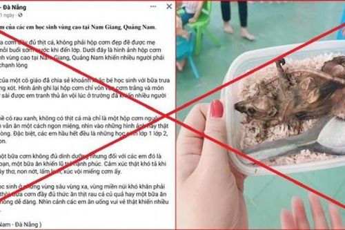 Phạt 7,5 triệu vì đăng tin 'học sinh ăn cơm với thịt chuột'