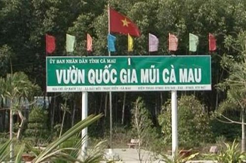 Bắt nguyên Giám đốc Vườn quốc gia Mũi Cà Mau và đồng phạm tội tham ô tài sản