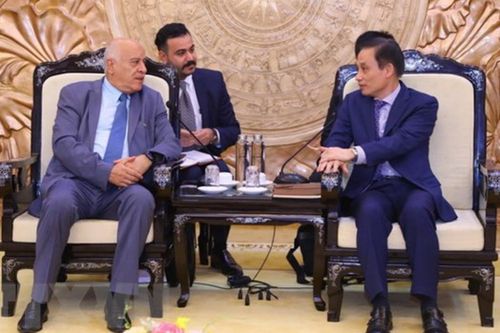 Mối quan hệ đoàn kết, hữu nghị và hợp tác tốt đẹp Việt Nam-Palestine