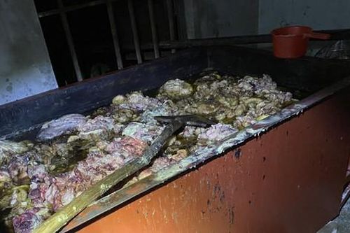 Phát hiện hơn 1,4 tấn mỡ động vật bốc mùi