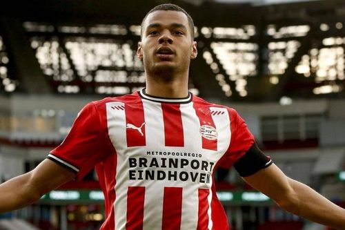 PSV 'chốt' giá bán Cody Gakpo cho Man United