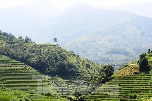 Các địa phương liên tục đấu giá đất với mức khởi điểm từ vài triệu đồng/m2