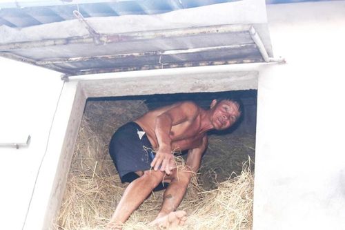 Nông dân vùng rốn lũ chật vật lo nguồn thức ăn cho gia súc