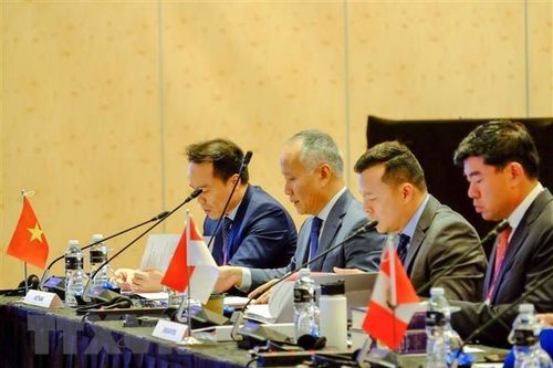 Việt Nam tham dự phiên họp lần thứ 6 Hội đồng CPTPP