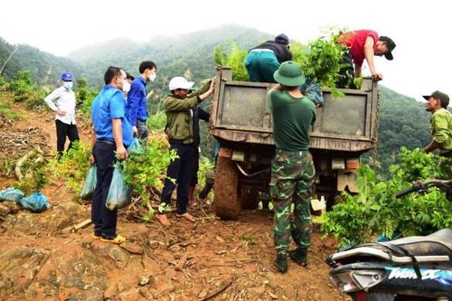 Nối dài hành trình trồng cây bảo vệ rừng