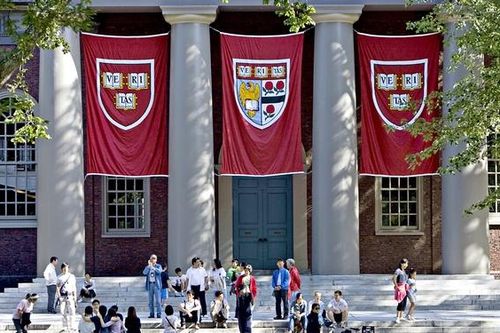 Nghiên cứu ĐH Harvard chỉ ra 5 thủ phạm khiến trẻ càng học càng sa sút