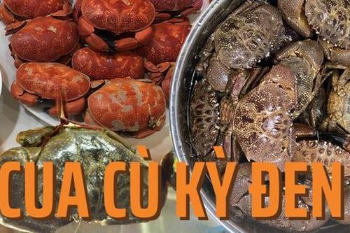 Đặc sản nổi tiếng của Quảng Ninh với giá bán gần 400k/kg