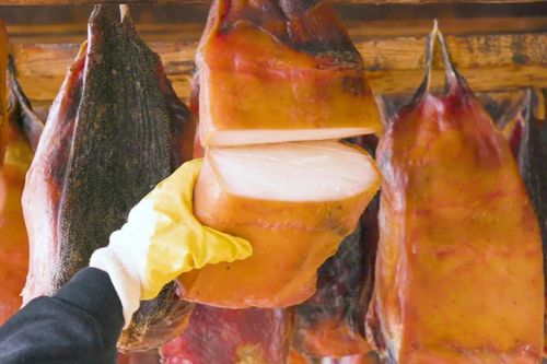 Đặc sản cá mập bốc mùi ở Iceland