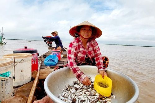 Sản vật mùa lũ