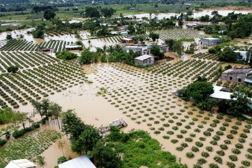 Mưa lớn cục bộ gây ngập úng nhiều nơi ở Bình Thuận