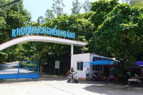 Bình Định: Xử lý nghiêm vụ chặt phá rừng trong di tích Ghềnh Ráng