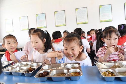 Lợi ích bữa ăn học đường vượt ra ngoài giáo dục