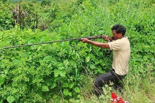 Nổ súng bắn gà rừng, đạn trúng người đi đặt bẫy tử vong