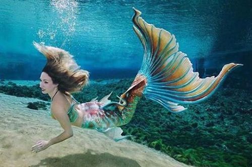 Nghề làm nàng tiên cá: Lương cao nhưng không được phép căng thẳng