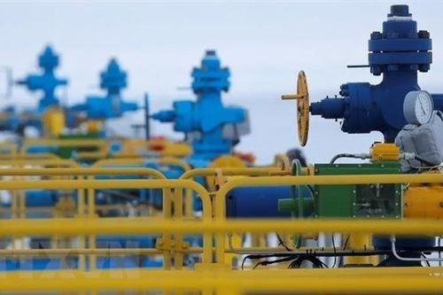 Ấn Độ: Không có quốc gia nào yêu cầu New Delhi ngừng mua dầu của Nga
