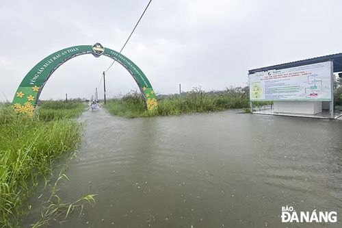 Đà Nẵng: Mưa lớn gây ngập cục bộ, nhiều trường cho học sinh nghỉ học