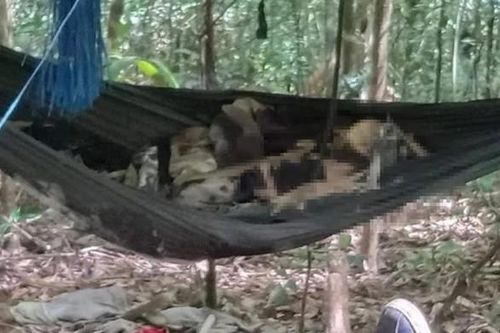 Bản tin 60s: Xác định danh tính 2 bộ xương khô trong rừng tại Gia Lai