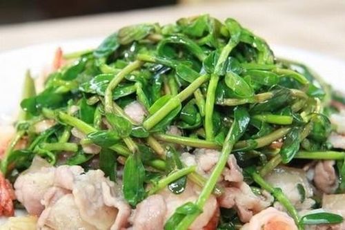 3 loại rau quả đắng nhưng tốt ngang thuốc quý