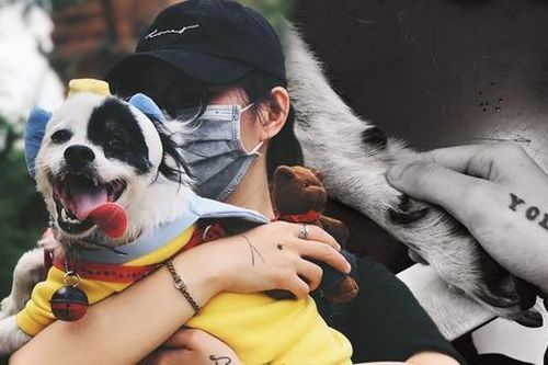 Cô gái cưu mang 29 chú chó mèo, vay nợ chạy chữa cho 'tụi nhỏ' lúc ốm đau