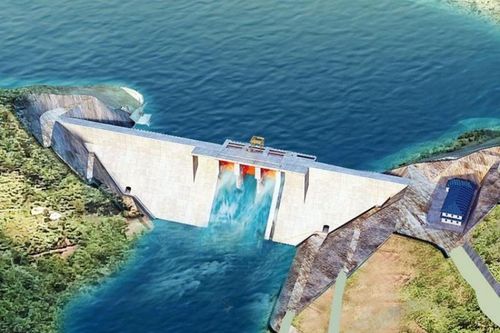 5 doanh nghiệp được tái tham gia các dự án đầu tư ngành nông nghiệp