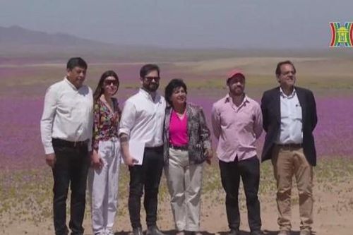 Chile ra mắt công viên hoa sa mạc