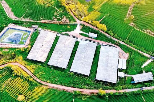 Tháo gỡ nút thắt trong quản trị đất đai