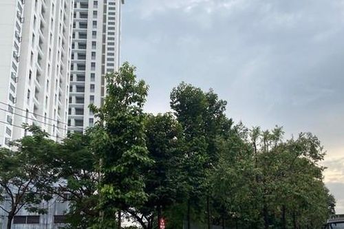 Công an TPHCM bác bỏ thông tin đăng tải sai, xuyên tạc về diễn tập
