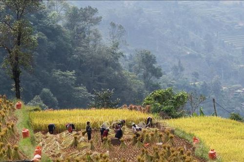 Gìn giữ nét đẹp văn hóa người Cờ Lao đỏ - Bài cuối: Nỗ lực bảo tồn giá trị truyền thống