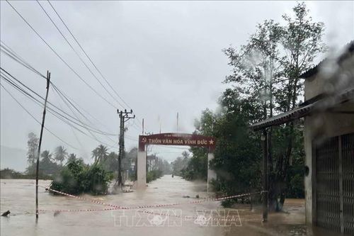 Mưa lớn gây thiệt hại hơn 200 ha cây trồng, sạt lở nhiều nơi ở Bình Định