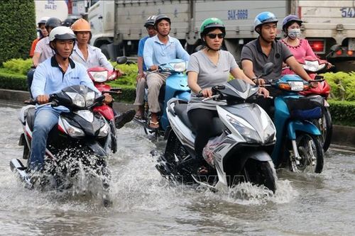 Triều cường, mực nước vùng hạ lưu sông Cửu Long có khả năng đạt đỉnh vào ngày 11 - 13/10