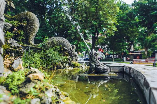 Hiện trạng vườn hoa Con Cóc 120 tuổi trước ngày 'thay áo mới'