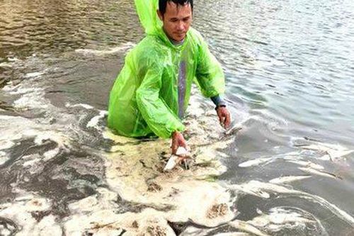 Sét đánh chết hàng tấn cá, chuyên gia chỉ cách phòng tránh