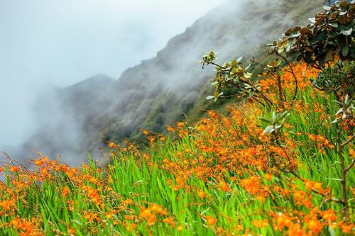 Khung cảnh biển mây tựa chốn 'bồng lai tiên cảnh' ở Sun World Fansipan Legend