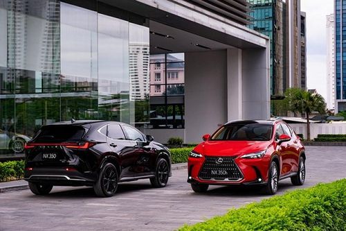 Triệu hồi Lexus NX350, xe nhập tư phải được 'đồng ý mới miễn phí'