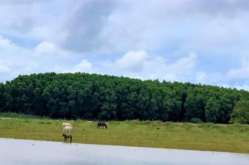 Sẽ di dời có lộ trình trang trại của nguyên Bí thư Tỉnh ủy Đắk Lắk khỏi khu bảo tồn