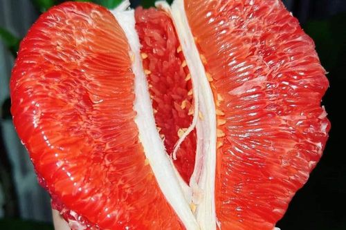 Bưởi Trung Quốc đỏ au la liệt chợ, đắt hơn cả bưởi Việt