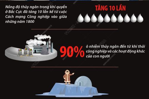 Báo động tình trạng ô nhiễm thủy ngân tại Bắc Cực