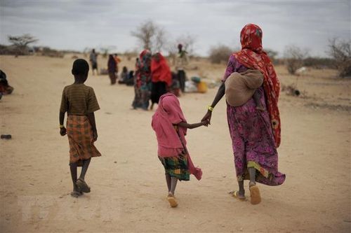 Nam Sudan: Hàng chục người thiệt mạng do tranh chấp đất đai