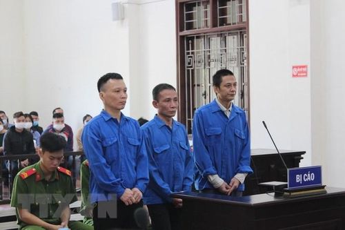 Hòa Bình: Một bị cáo tù chung thân, 2 bị cáo tù 20 năm mua bán ma túy