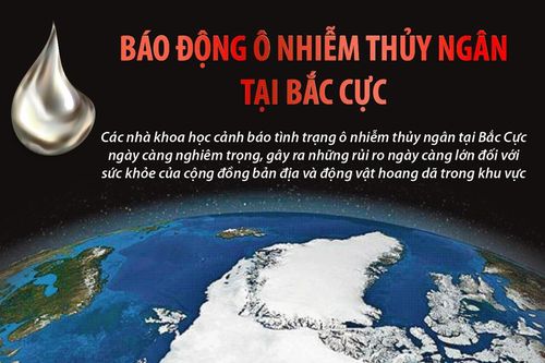 Báo động ô nhiễm thủy ngân tại Bắc Cực