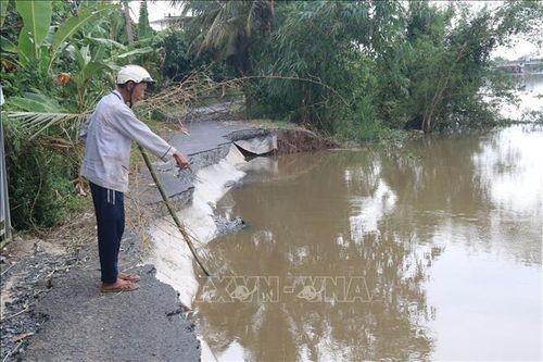 Tiền Giang: Bờ sông Ba Rày tiếp tục sạt lở nghiêm trọng
