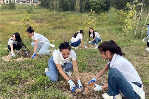 Thí sinh Hoa hậu Biển đảo Việt Nam tham gia bảo vệ môi trường biển tại Cô Tô