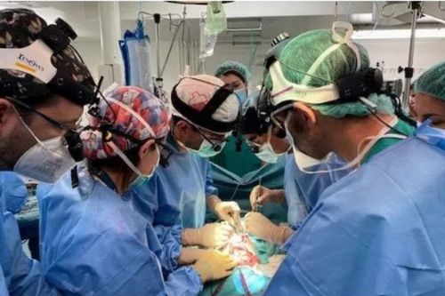 Em bé đầu tiên trên thế giới được ghép ruột từ người hiến tặng đã qua đời