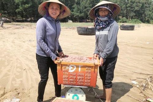 Dầm mình vớt ruốc sau mưa lũ, ngư dân kiếm tiền triệu mỗi ngày